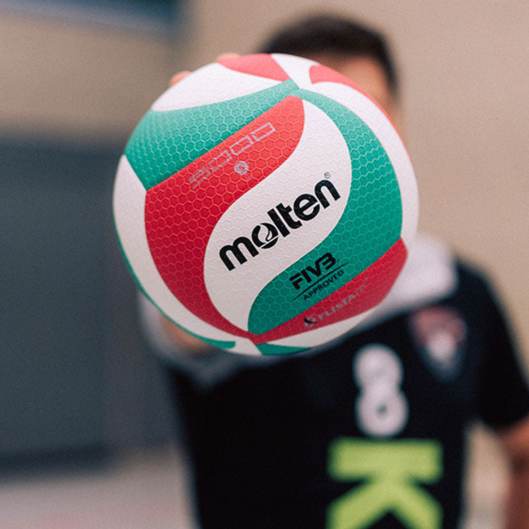 Molten Volleyball