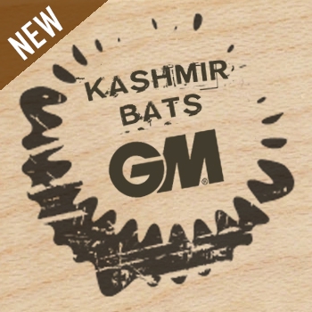 NEW 2020 GM Kashmir Bats