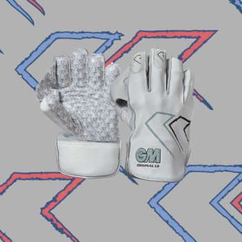 New Wicket Keeping Gloves