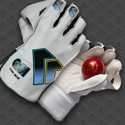 Wicket Keeping Gloves