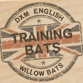 NEW 2019 Training Bats