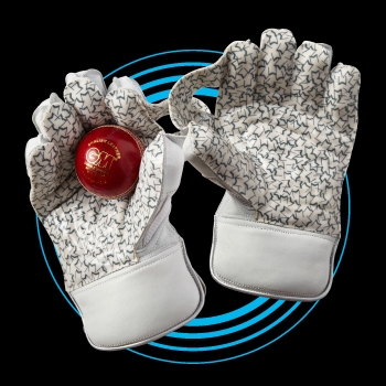 NEW 2019 Wicket Keeping Gloves