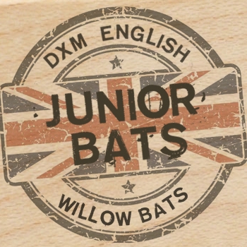 New Junior Bats