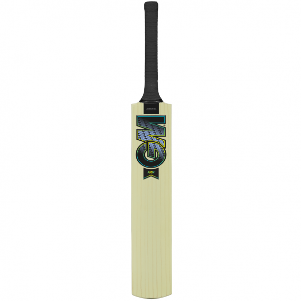 AION CRICKET BAT