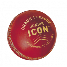 Icon Grade 1 League - Junior