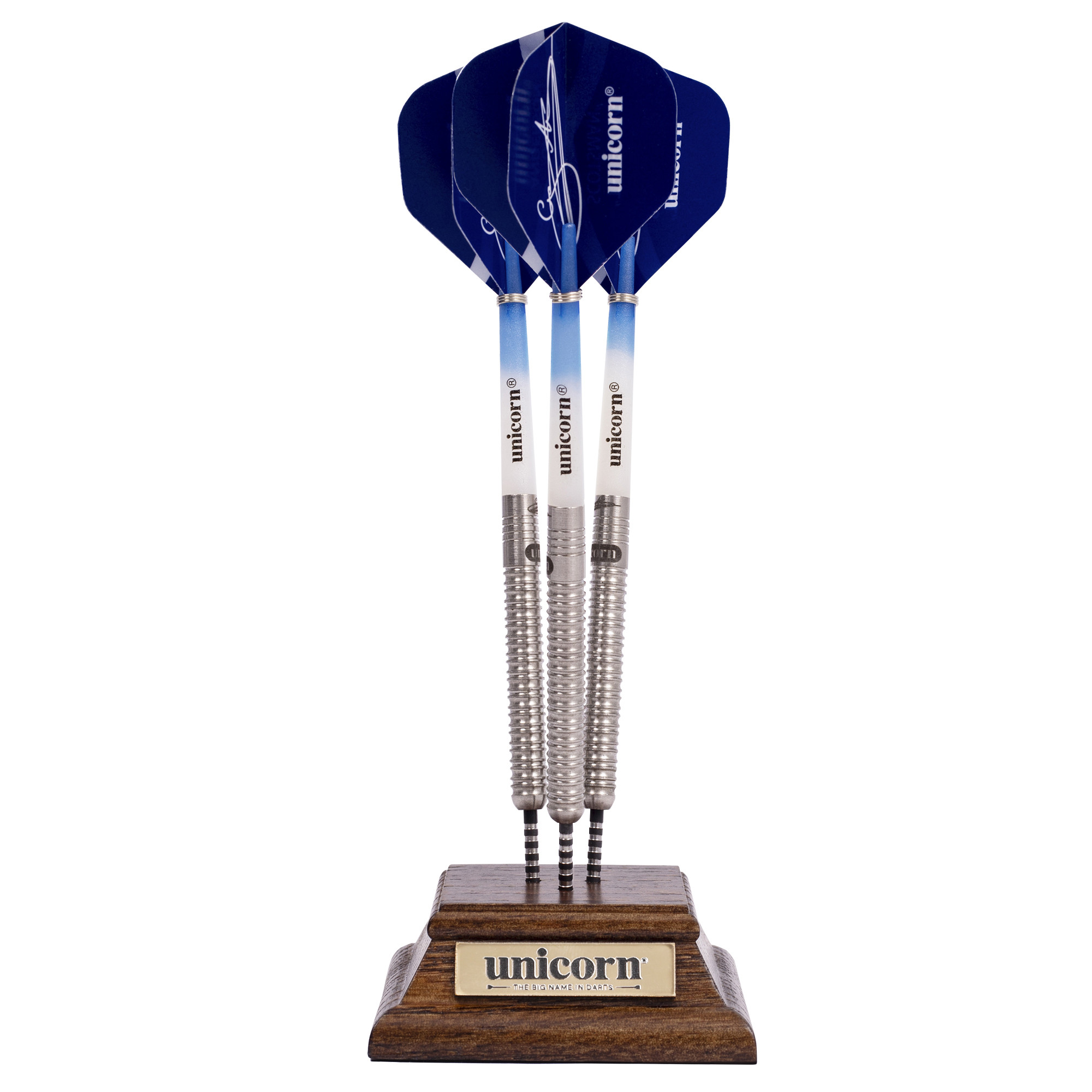Gary Anderson World Champion 2015 10 Year Commemoration Darts