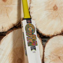 GM Ben Duckett Players Edition Cricket Bat 