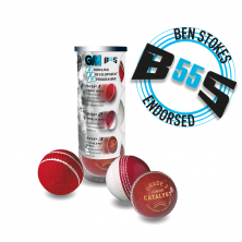 BS55 BOWLING DEVELOPMENT  PROGRAMME