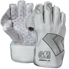 Wicket Keeping Gloves Protection Cricket