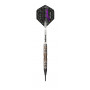 Jelle Klaasen World Champion Phase 2 Soft Tip Dart 4520 4521
