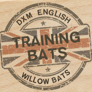 Training Bats