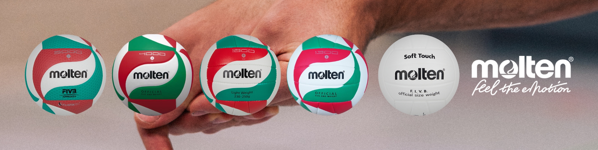Molten Volleyball
